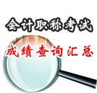 2013年會(huì)計(jì)職稱(chēng)考試成績(jī)查詢(xún)時(shí)間及入口匯總