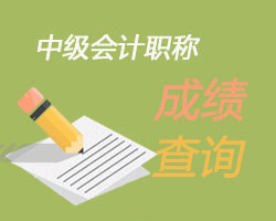 中級(jí)職稱(chēng)成績(jī)查詢(xún)