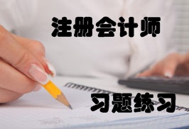 注冊會計(jì)師會計(jì)練習(xí)題精選