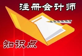 注冊會計(jì)師公司戰(zhàn)略知識點(diǎn)