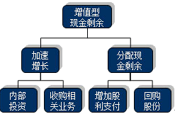 公司戰(zhàn)略與風(fēng)險(xiǎn)管理知識點(diǎn)