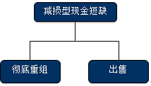 公司戰(zhàn)略與風(fēng)險(xiǎn)管理知識點(diǎn)