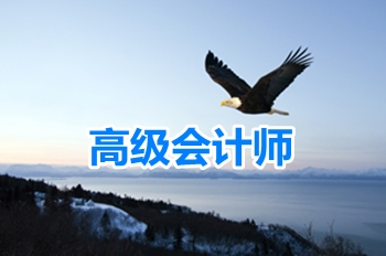 高級(jí)會(huì)計(jì)師知識(shí)點(diǎn)問答：內(nèi)部審計(jì)部門和審計(jì)委員會(huì)關(guān)系和職責(zé)