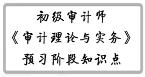 2017年初級(jí)審計(jì)師《審計(jì)理論與實(shí)務(wù)》預(yù)習(xí)階段知識(shí)點(diǎn)匯總