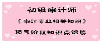 2017年初級審計師《審計專業(yè)相關(guān)知識》預(yù)習(xí)階段知識點(diǎn)匯總