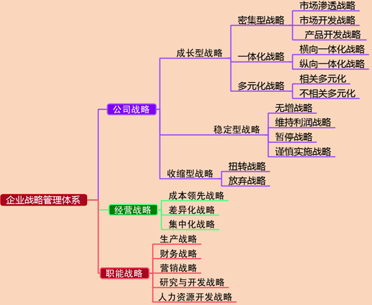 2017高級會計(jì)師《高級會計(jì)實(shí)務(wù)》預(yù)習(xí)知識點(diǎn)：企業(yè)戰(zhàn)略管理