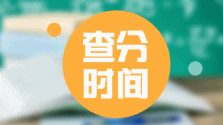 廣東省2017年稅務(wù)師考試成績(jī)查詢(xún)時(shí)間