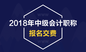 2018年中級會計(jì)職稱考試報(bào)名如何交費(fèi)