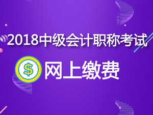 河北衡水2018中級會計職稱考試網上繳費時間