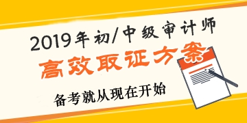 2019年審計(jì)師高效取證招生方案上線 早報(bào)名早學(xué)習(xí)！ 