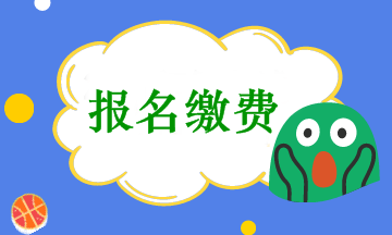 會(huì)計(jì)中級(jí)考試報(bào)名收費(fèi)是在網(wǎng)上繳費(fèi)嗎？