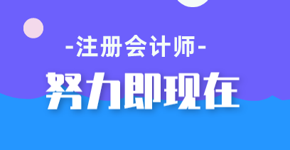 注會(huì)綜合階段的考生都是這15個(gè)理由的受益人