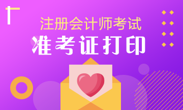 注冊會(huì)計(jì)師準(zhǔn)考證 2019年