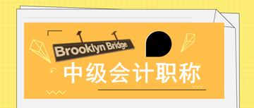 2020年寧夏中級(jí)會(huì)計(jì)師報(bào)名審核時(shí)需提交哪些資料？