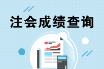 2019年陜西咸陽注冊會計師成績查詢通道什么時候開通？