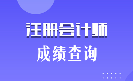 山東泰安注會成績查詢時間