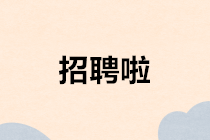 結(jié)算會計和出納的區(qū)別是什么？如何選擇？