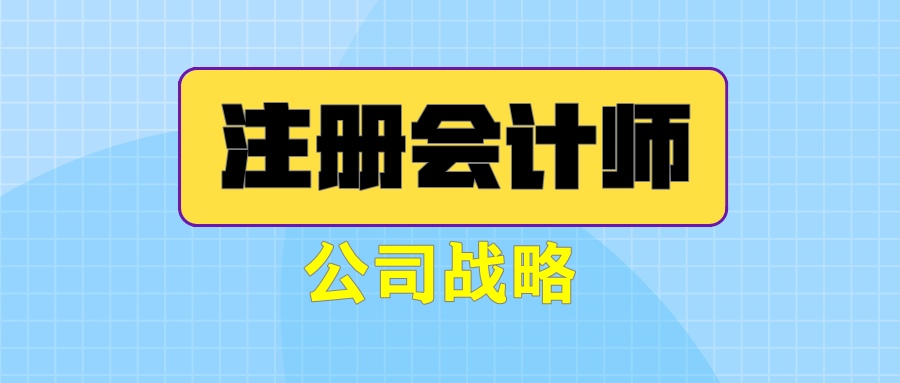 注冊會計師《公司戰(zhàn)略》練習題