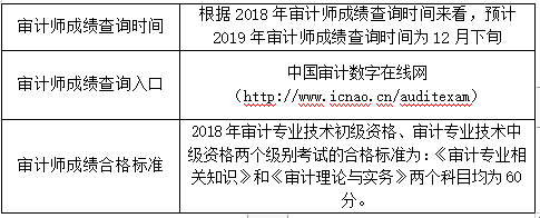 審計(jì)師成績查詢