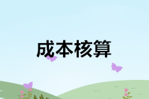 會(huì)計(jì)實(shí)務(wù)