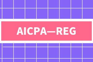 AICPA—REG知識點(diǎn)：美國聯(lián)邦司法審判體系