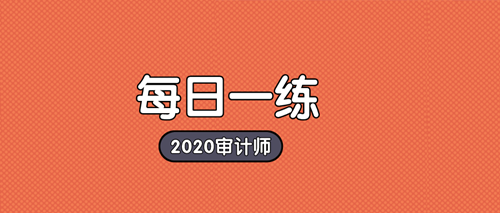 2020中級(jí)審計(jì)師備考