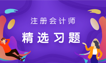 注會精選習(xí)題