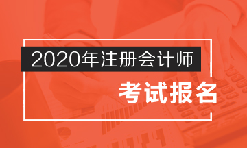 山東注冊會計師考試報名條件