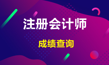 湖南長沙注冊會計(jì)師考試成績查詢