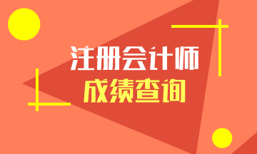 廣東深圳注冊(cè)會(huì)計(jì)師考試成績查詢