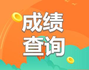 初級(jí)經(jīng)濟(jì)師2019成績查詢時(shí)間公布了嗎？