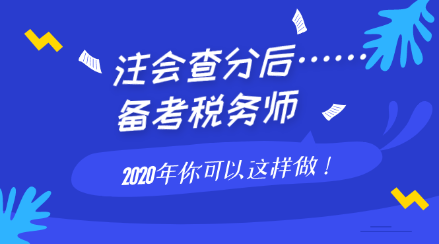 注會(huì)查分后備考稅務(wù)師