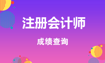 2019年江蘇注冊(cè)會(huì)計(jì)師成績(jī)查詢(xún)?nèi)肟谝呀?jīng)開(kāi)通