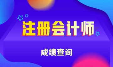 浙江寧波注冊會計師可以查成績啦！