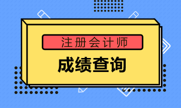 廣州CPA考試成績(jī)查詢?nèi)肟谝验_通！