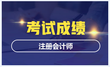 2019新疆烏魯木齊注會(huì)成績查詢