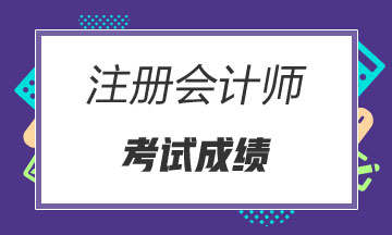 2019年黑龍江伊春注會(huì)成績(jī)查詢(xún)