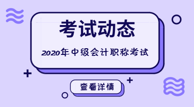 四川2020中級(jí)會(huì)計(jì)考試資格審核有哪些要求？