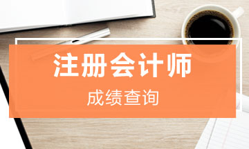 安徽合肥cpa2019年成績查詢?nèi)肟谝验_通！