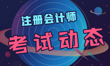 2020年江蘇cpa專業(yè)階段考試時間