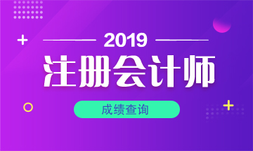 海南瓊中注冊會計師成績查詢通道