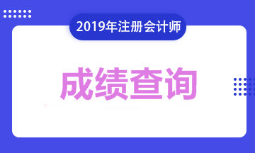 注冊會計(jì)師成績2019