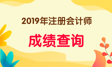 廣東深圳注冊會(huì)計(jì)師考試成績查詢