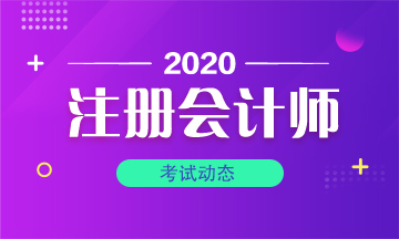 2020注冊(cè)會(huì)計(jì)師什么時(shí)候考試