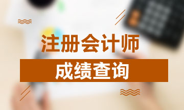 湖南湘潭2019注冊(cè)會(huì)計(jì)師成績(jī)查詢