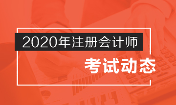 2020年cpa的考試時(shí)間公布啦！