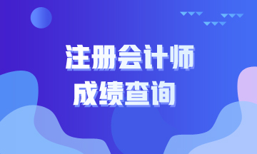 浙江2019年注冊會計師成績查詢時間