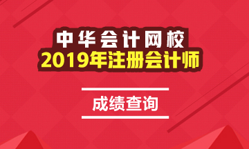 安徽2019年注冊(cè)會(huì)計(jì)師成績(jī)查詢