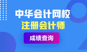 注冊會計師安徽淮北考試成績