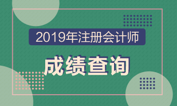 上海2019年cpa成績查詢